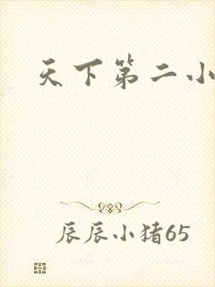 天下第二小说