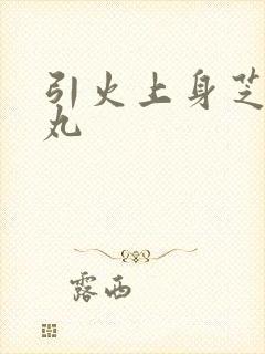 引火上身芝麻糖丸