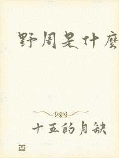 野周是什么意思