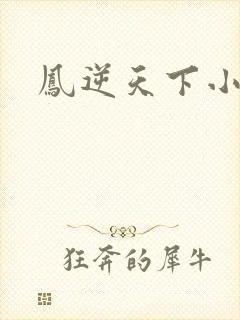 凤逆天下小说