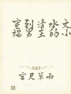 穿到清水文里造福男主的小说
