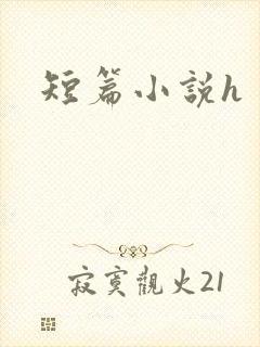 短篇小说h