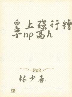 皇上强行糟蹋太子np高h