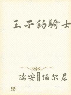 王子的骑士