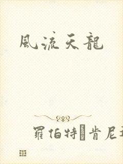 风流天龙