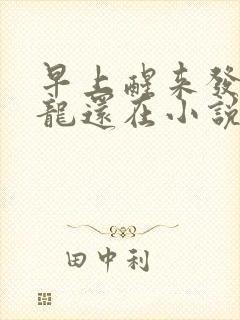 早上醒来发现巨龙还在小说