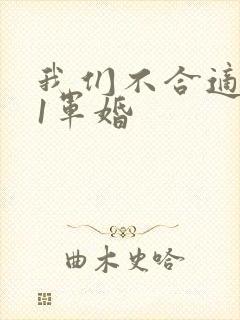 我们不合适1v1军婚