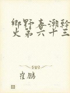 乡野春潮干柴烈火第六十三章