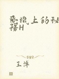 飞机上的秘密服务H