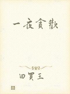一夜贪欢