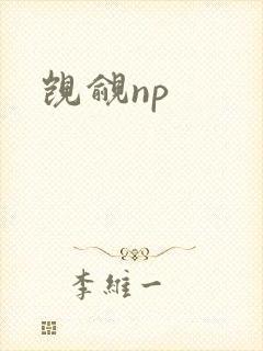 觊觎np