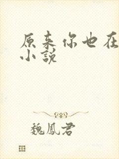 原来你也在这里小说