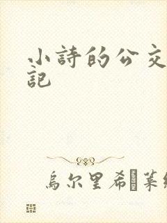小诗的公交车日记