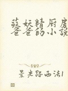 苏妖精厨房爹爹爸爸的小说