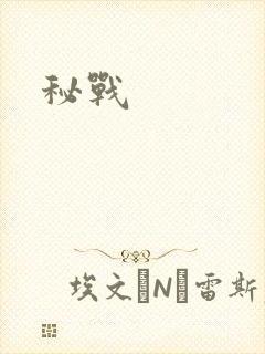 秘战