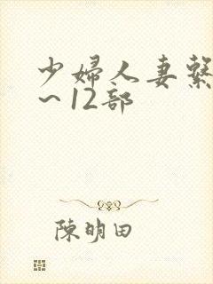 少妇人妻系列1～12部