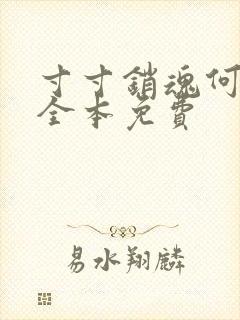 寸寸销魂何生祥全本免费