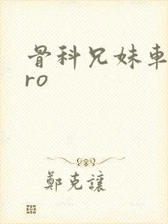 骨科兄妹车多pro