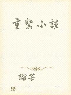 重紫小说