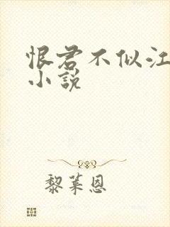 恨君不似江楼月小说