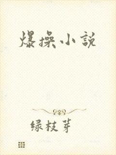 爆操小说