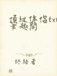 顶级伴侣txt笔趣阁