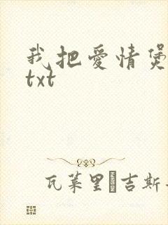 我把爱情煲成汤txt