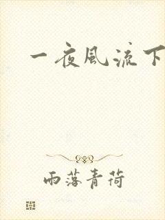 一夜风流下载