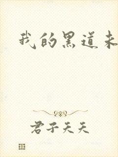 我的黑道未婚夫