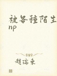 被各种陌生人 np