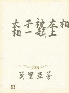 太子被左相和右相一起上