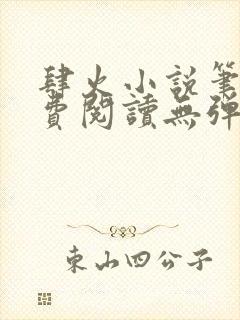 肆火小说笔趣免费阅读无弹窗