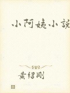 小阿姨小说