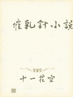 催乳针小说