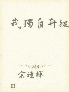 我独自升级小说