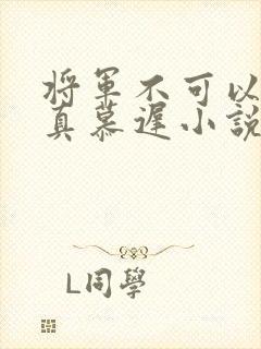 将军不可以魏云真慕迟小说笔趣阁