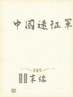 中国远征军小说
