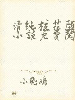 清纯校花堕落记小说免费阅读