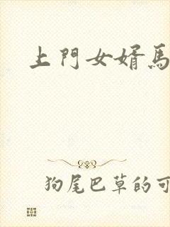 上门女婿马四辈