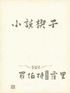 小说楔子
