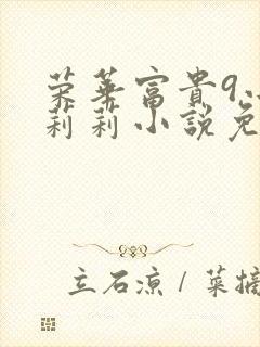 荣华富贵9小王莉莉小说免费阅读