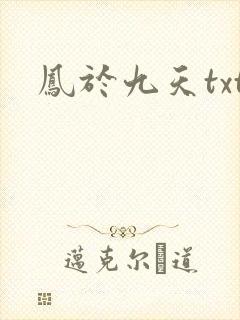 凤于九天txt
