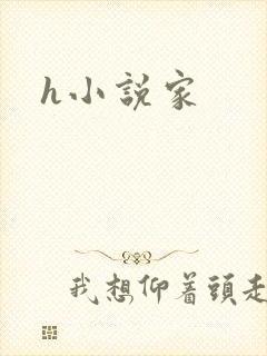 h小说家