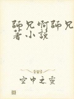 师兄啊师兄的原著小说