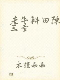 老牛耕田陈雪第三章