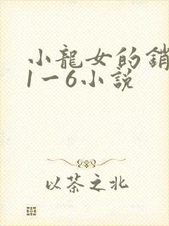小龙女的销魂夜1一6小说