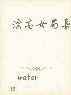 漂亮女局长封面