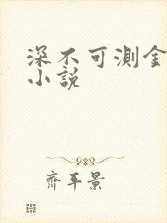 深不可测金银花小说