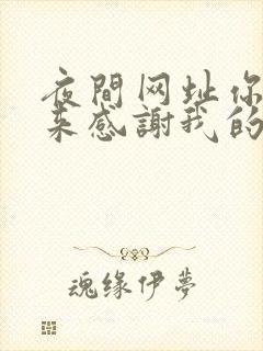 夜间网址你会回来感谢我的