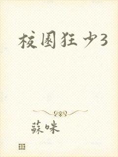 校园狂少3